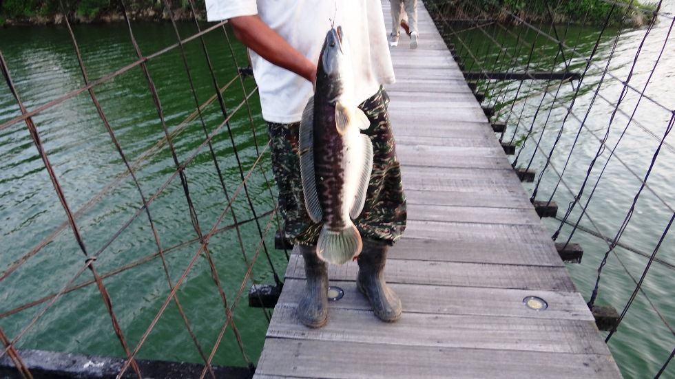 http://i.dcview.tw/gallery/201209/0a35a7eb32b32bafcf565f81c38e6222.jpg