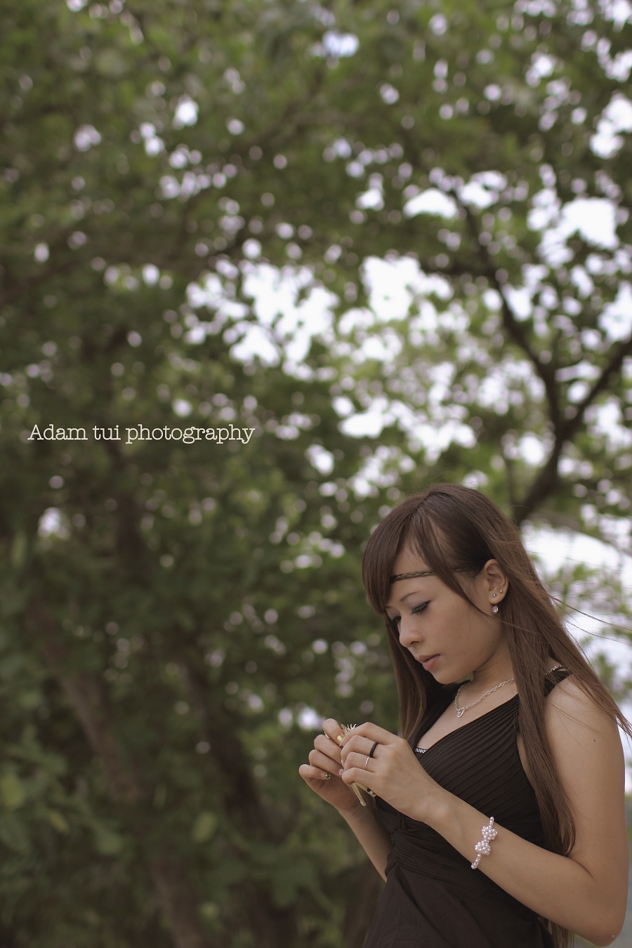 http://i.dcview.tw/gallery/201209/1650177b8c858ffe60a09a12fde2402f.jpg