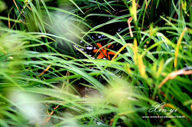 http://i.dcview.tw/gallery/201209/174baed0c2b1ec1c6b9683c582d12449.jpg