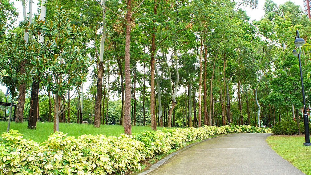 http://i.dcview.tw/gallery/201209/19f6af6cd0b7e316cdd8d1b4a5c1d850.jpg