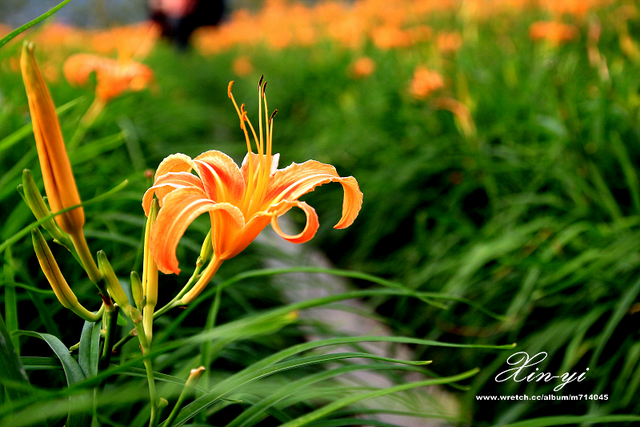 http://i.dcview.tw/gallery/201209/1e9bae8f48a453d548b601502e59f9e6.jpg