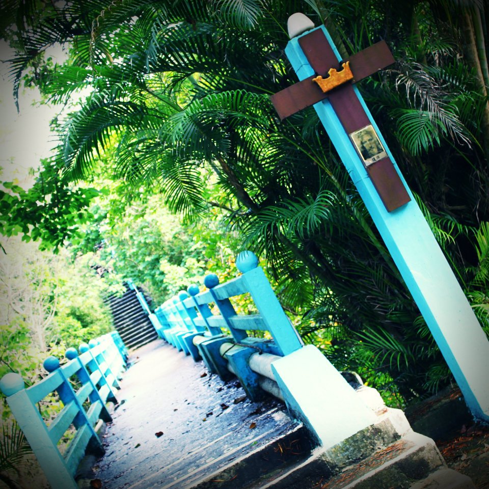 http://i.dcview.tw/gallery/201209/26e9cfeab976bad23e63c13ec3c70b83.jpg