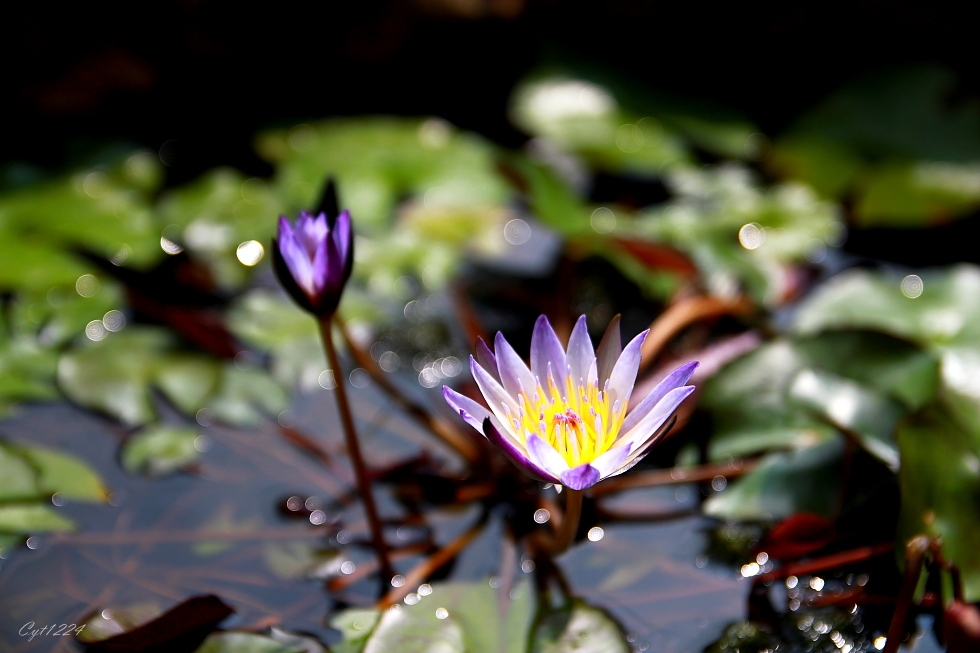 http://i.dcview.tw/gallery/201209/28c5f31bafb774592201e17adbc28a68.jpg