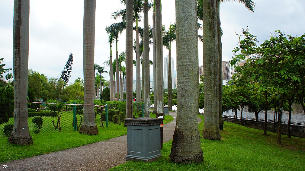 http://i.dcview.tw/gallery/201209/2aad15c1f6d401fc24babd2e643c50f2.jpg