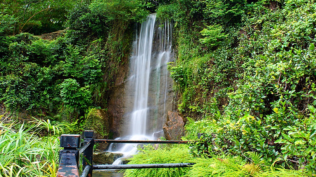 http://i.dcview.tw/gallery/201209/2b63bda924e3a072913340236c0587e5.jpg