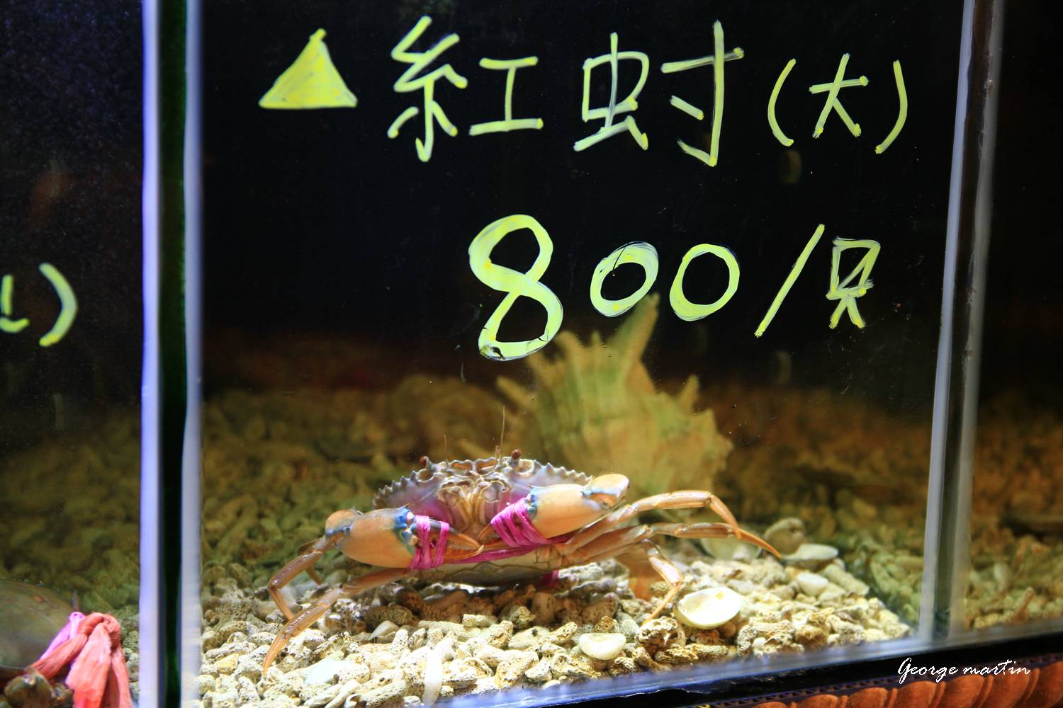 http://i.dcview.tw/gallery/201209/2ece728f193a920bdbea65207b00cf31.jpg