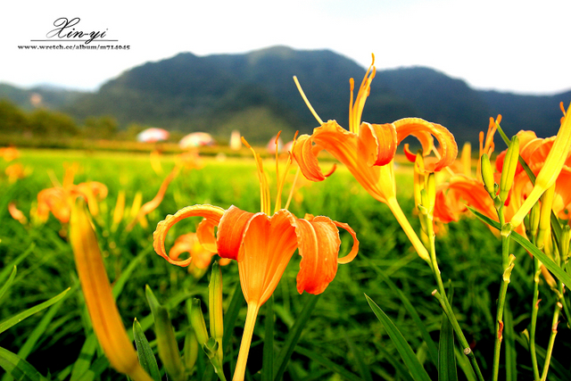 http://i.dcview.tw/gallery/201209/3421ee5c1e0b140dc23b27429af9c69d.jpg