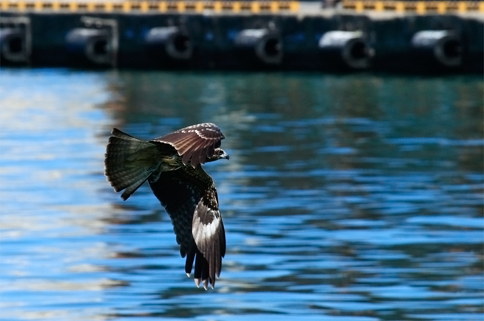 http://i.dcview.tw/gallery/201209/382372d9afd223afb143e5fa4e7a07b0.jpg