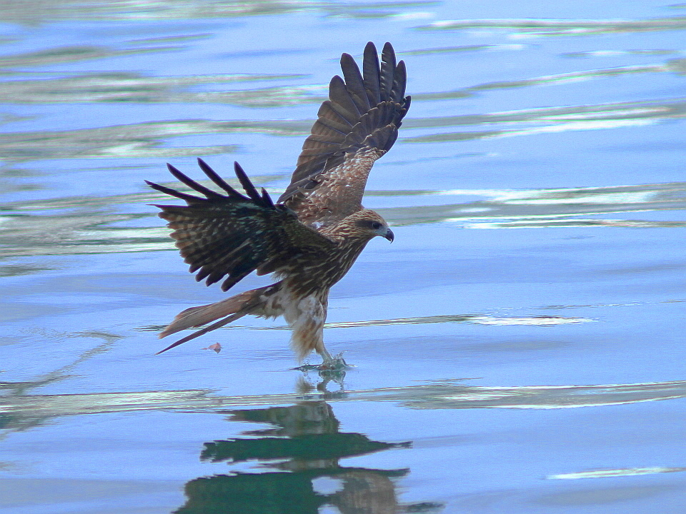 http://i.dcview.tw/gallery/201209/3d591f7e18edd2d794b73c5a358365f4.jpg