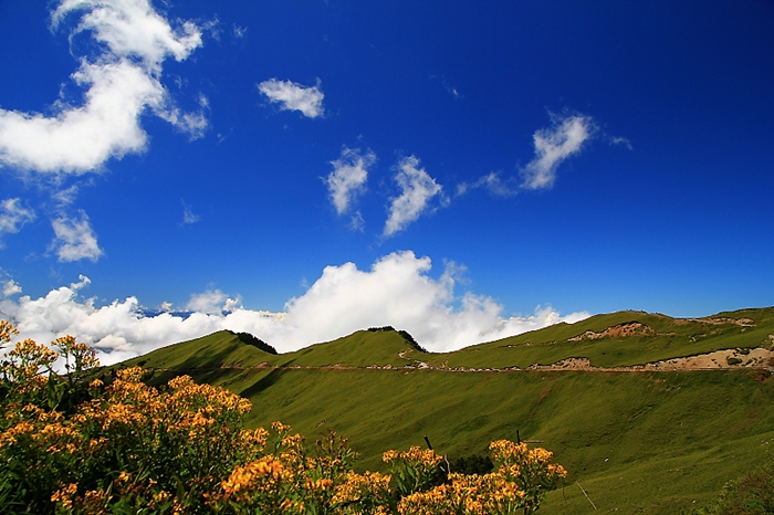 http://i.dcview.tw/gallery/201209/403414a7be476650f4e5132182de62b4.jpg