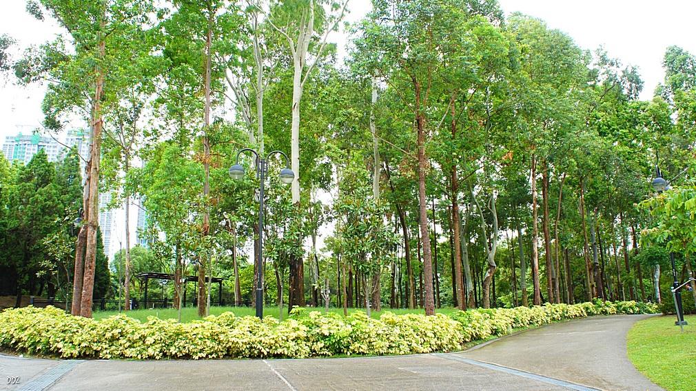 http://i.dcview.tw/gallery/201209/45170db96538536c5c243663ccbb8176.jpg