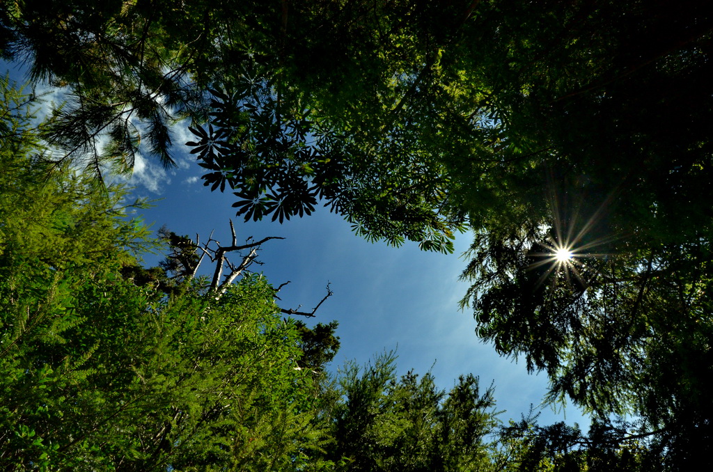 http://i.dcview.tw/gallery/201209/454602fce436d800fd6fb490a0473bd5.jpg