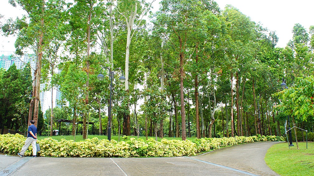 http://i.dcview.tw/gallery/201209/49fc77611451f4b87e4d354df67fc27a.jpg