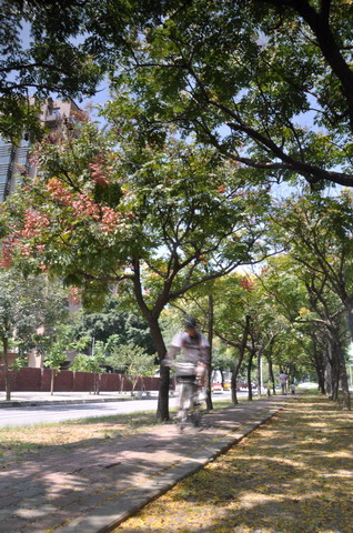 http://i.dcview.tw/gallery/201209/4beacb4af458204893f92eed8258fc31.jpg