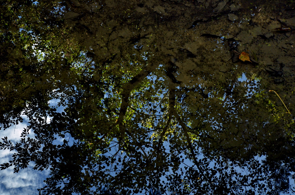 http://i.dcview.tw/gallery/201209/4ccbb99cf82a37653bae49fa81df85dd.jpg