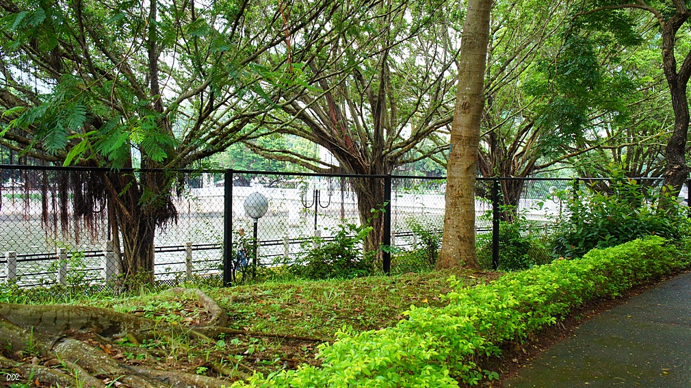 http://i.dcview.tw/gallery/201209/578704e4561f25f0d8e844a61419d95a.jpg