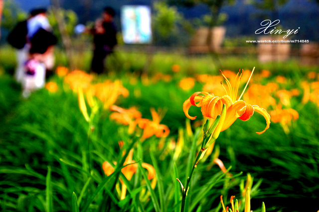 http://i.dcview.tw/gallery/201209/5b0f139d5cef9ed1d5e5769d9dd814ea.jpg
