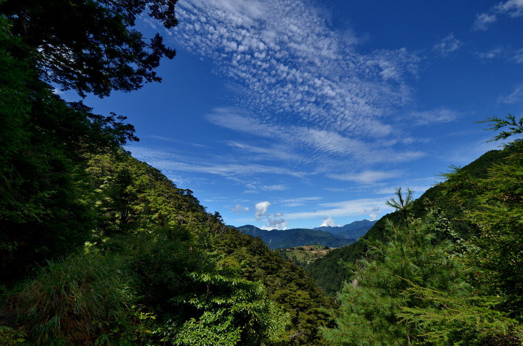 http://i.dcview.tw/gallery/201209/5df7640f70bb70cad539d023b5d6b6e6.jpg