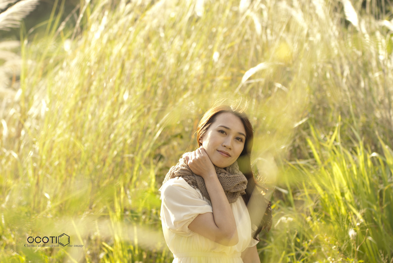 http://i.dcview.tw/gallery/201209/61ae918e83c55151600404a28e9e5259.jpg