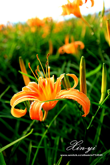 http://i.dcview.tw/gallery/201209/6af23b7bbc708e535eb69d83ae38003e.jpg