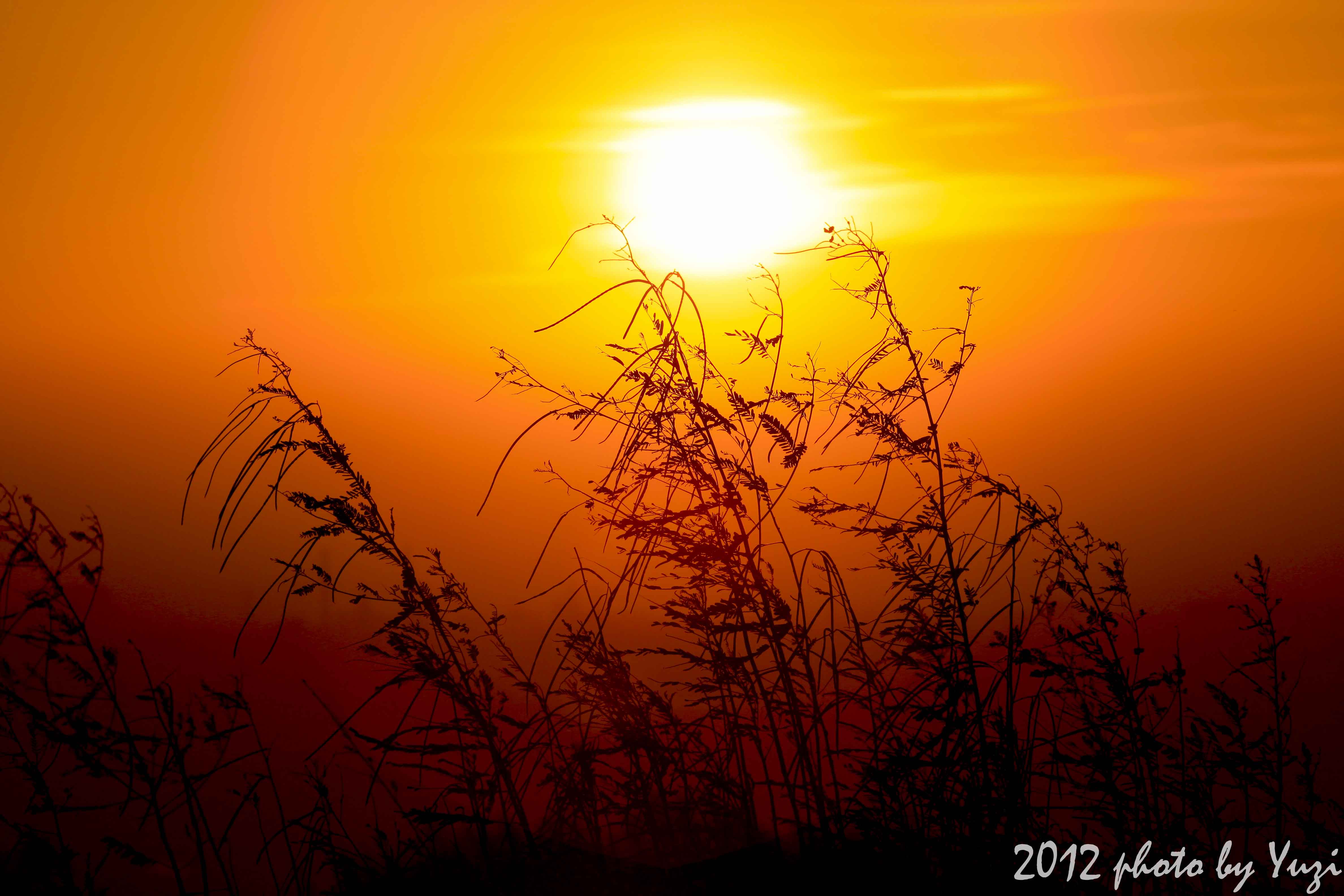 http://i.dcview.tw/gallery/201209/6ff911972cc84471928f73d6ce946dc9.jpg
