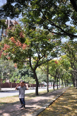 http://i.dcview.tw/gallery/201209/7027c74e02e781cc35999fb745e853a4.jpg