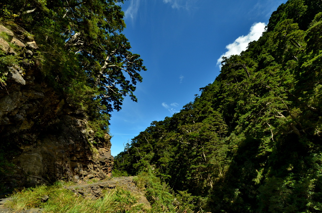 http://i.dcview.tw/gallery/201209/7255a1c421d1719e9cda987e47b14ad5.jpg