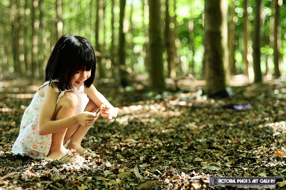 http://i.dcview.tw/gallery/201209/75f1f2c9600360178339072c7a596574.jpg