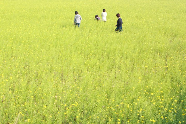 http://i.dcview.tw/gallery/201209/76e363084e609a63408e40bef98ee280.jpg