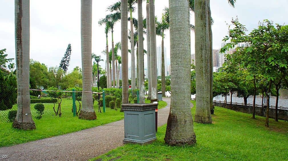 http://i.dcview.tw/gallery/201209/7b5158d40e3c47a7aa0e939f027d6c1f.jpg