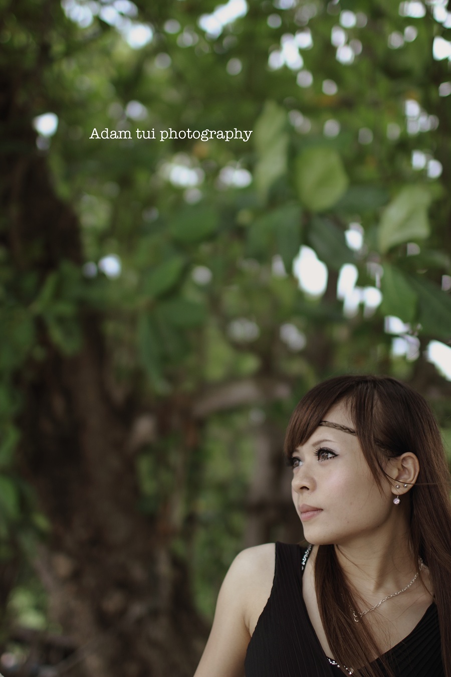 http://i.dcview.tw/gallery/201209/7fb3732a97a82011073f867e72e62a5e.jpg
