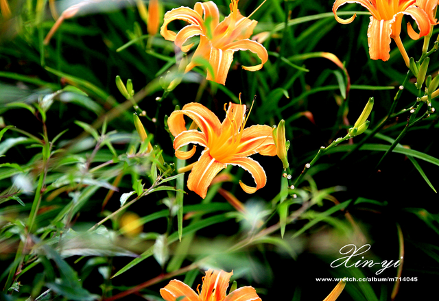 http://i.dcview.tw/gallery/201209/81eaf3deb59f9f3556320082aedc1ebb.jpg