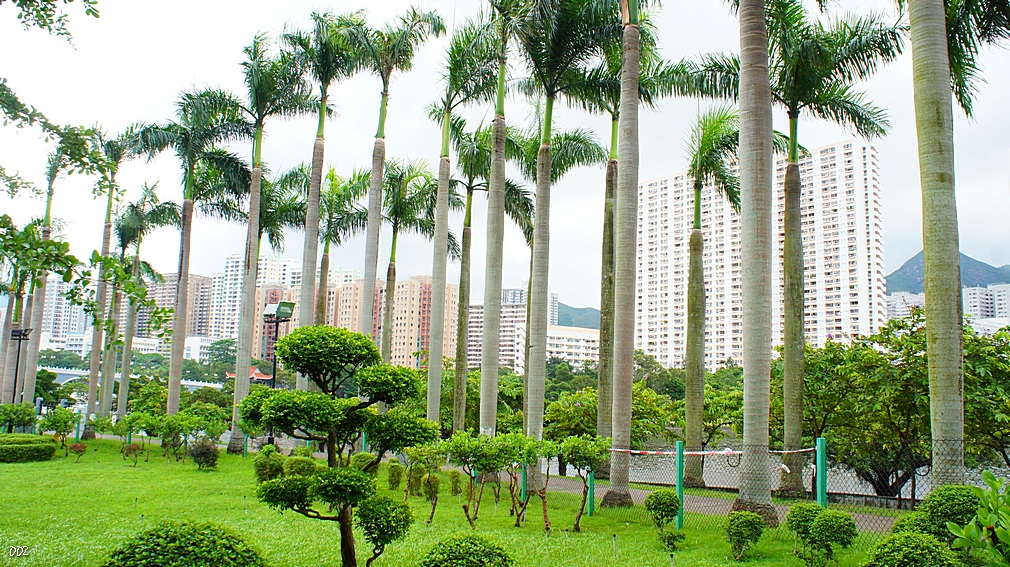 http://i.dcview.tw/gallery/201209/87f7ec3b88fe33d66a620f6cd8b8010c.jpg