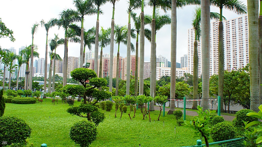 http://i.dcview.tw/gallery/201209/8a53e66b429d091b061255e880a910ff.jpg