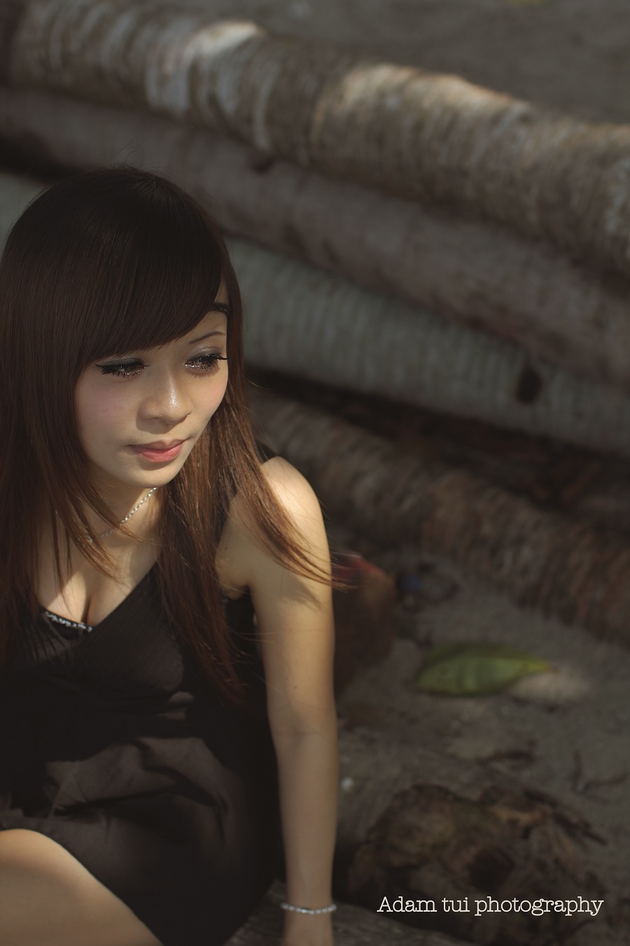 http://i.dcview.tw/gallery/201209/8e0142f6734b04bd8015fd28b146029c.jpg