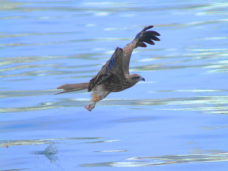 http://i.dcview.tw/gallery/201209/93a825c0ef16e1787b34e9d38750e27b.jpg