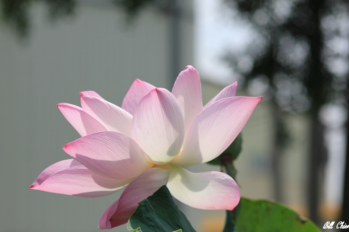 http://i.dcview.tw/gallery/201209/9429540da3a345140a1e7a01203a27d5.jpg