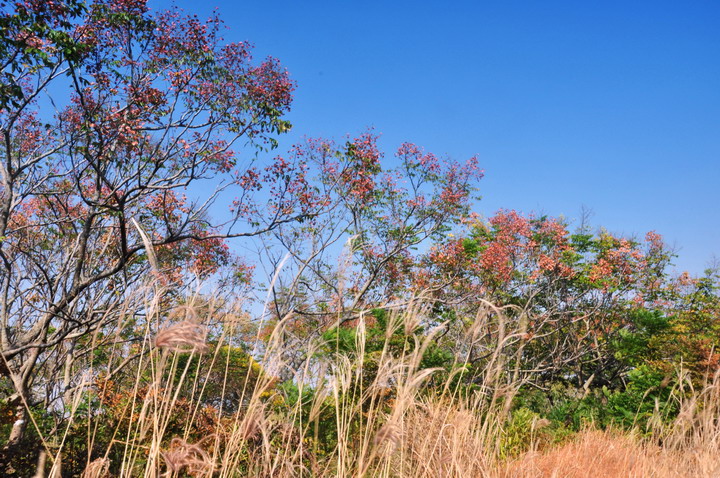 http://i.dcview.tw/gallery/201209/9450f2b838461c0f45c363d142ff0073.jpg