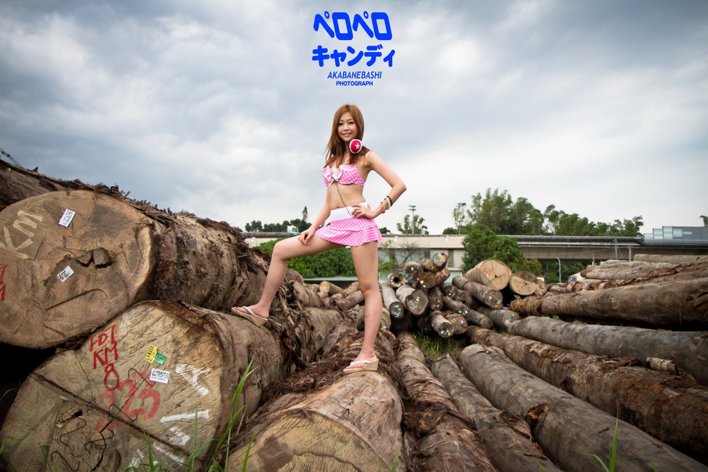 http://i.dcview.tw/gallery/201209/9c1939816cff7c2b3b44f6079ca37a4a.jpg