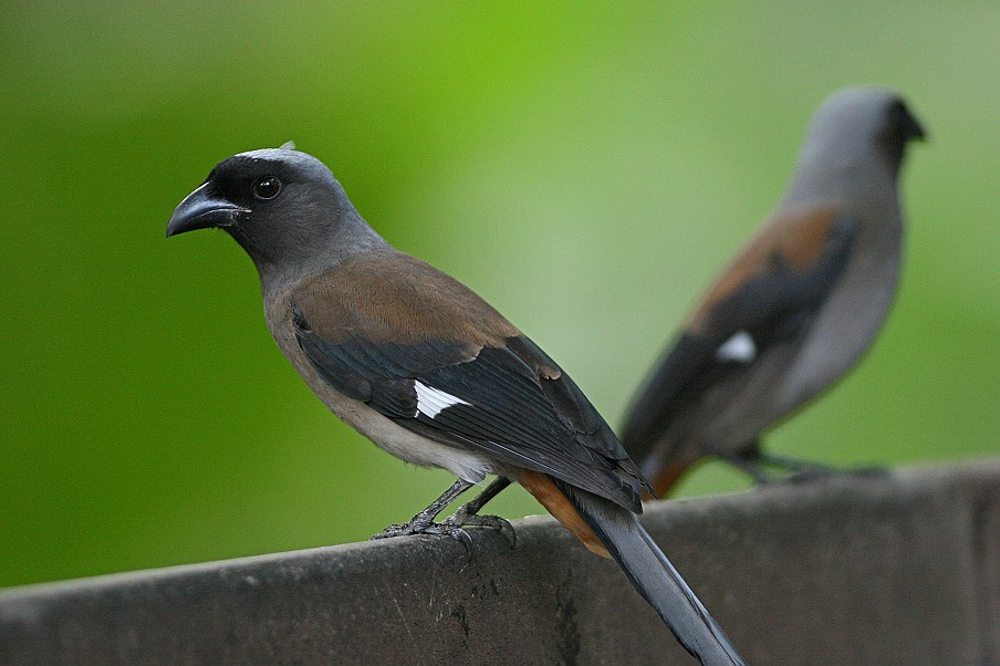 http://i.dcview.tw/gallery/201209/a62da86f0bdfd4e80e30be6628872cc2.jpg