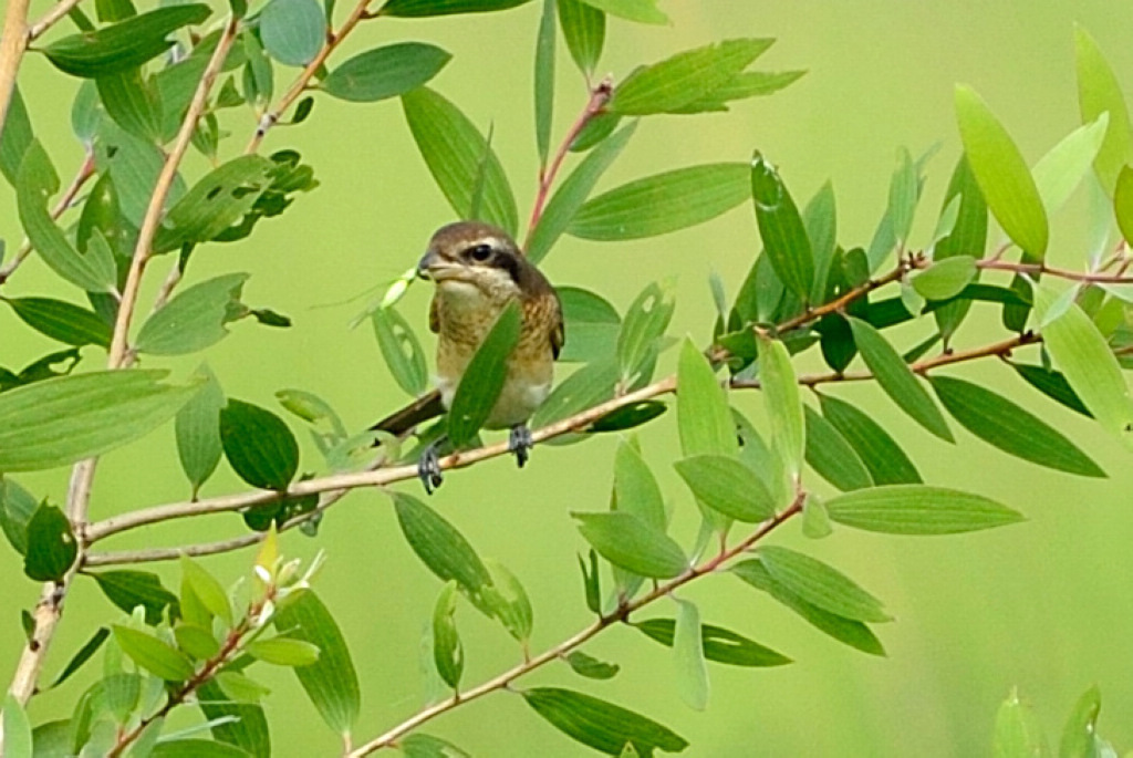 http://i.dcview.tw/gallery/201209/a65024d311e70f5b9fbbfcab0ff5ed14.jpg