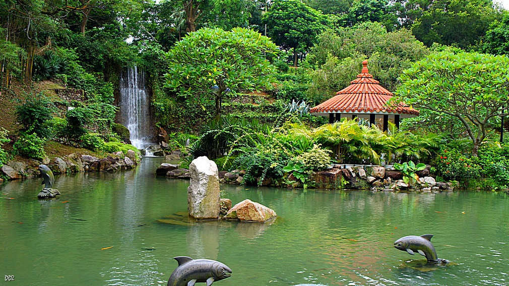 http://i.dcview.tw/gallery/201209/afec8c8c2dbf9db8c5aa9f73a457dd18.jpg