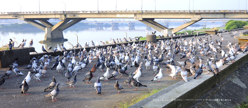 http://i.dcview.tw/gallery/201209/b53ac76a02874d654364be7f28b6b012.jpg