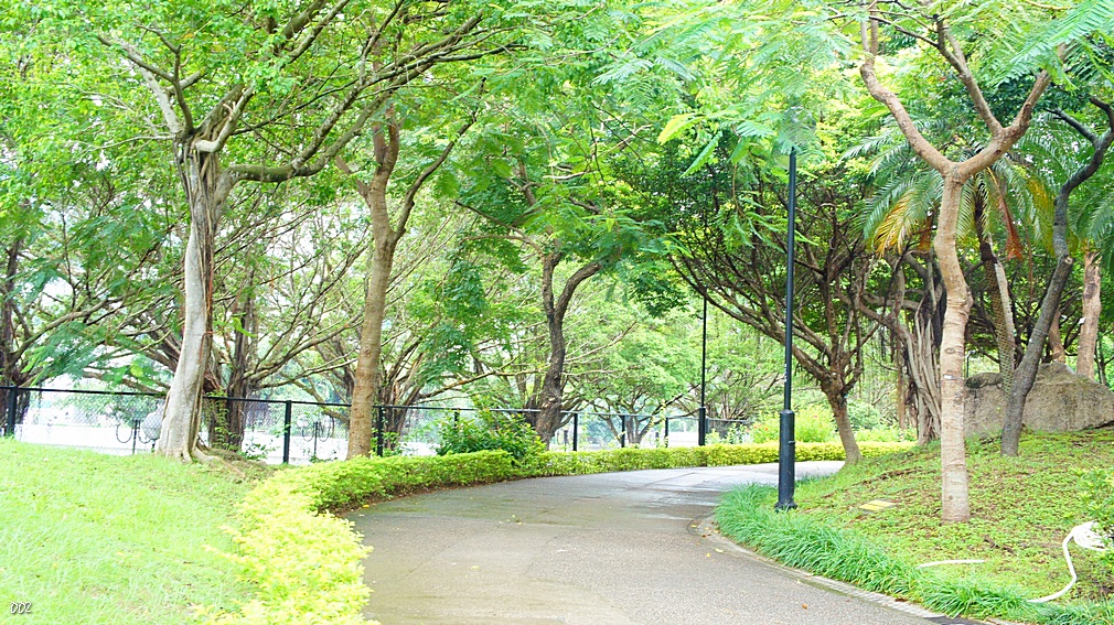 http://i.dcview.tw/gallery/201209/b9880e861306811b58de4e4ce1451d3a.jpg