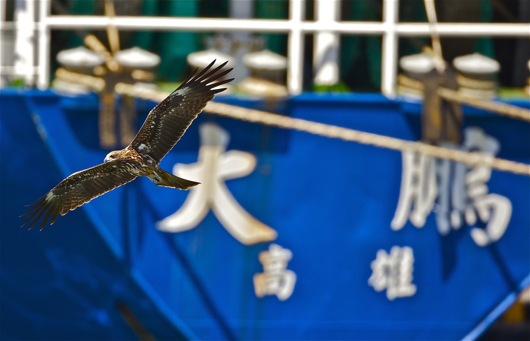 http://i.dcview.tw/gallery/201209/b98dbbe3c946f51c7b2282a83399a62e.jpg