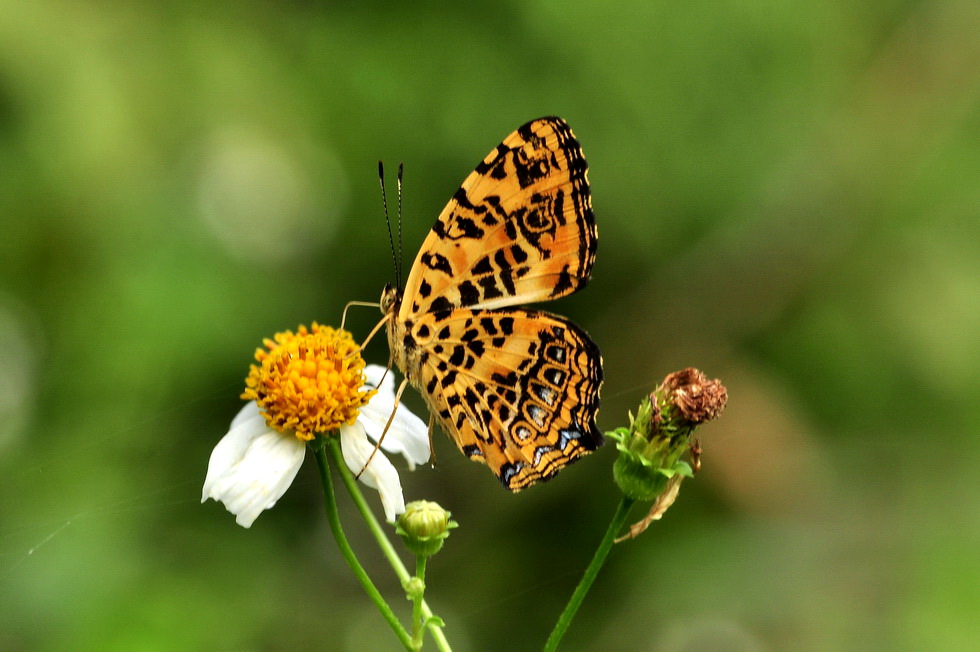 http://i.dcview.tw/gallery/201209/c896c0269f9b29066060b46980354c0a.jpg