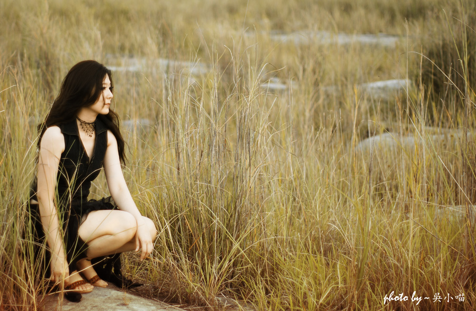 http://i.dcview.tw/gallery/201209/c89863f3526a4334d52dbdcbb2213668.jpg