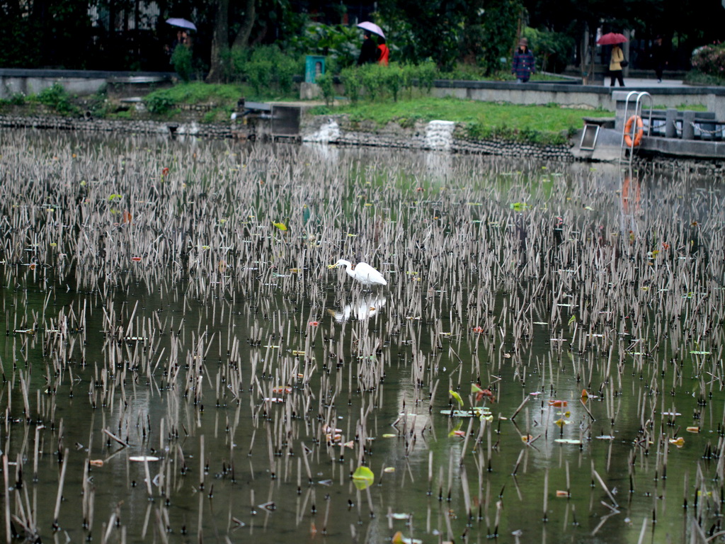 http://i.dcview.tw/gallery/201209/c9f0731e4dd804fb54dcd9a921acfe5b.jpg