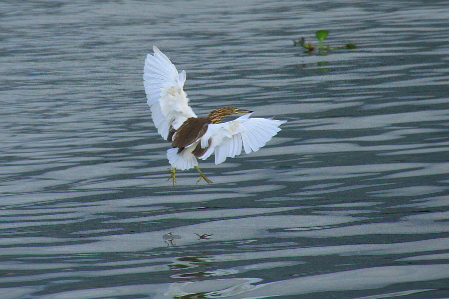 http://i.dcview.tw/gallery/201209/ca96a775a8974a5d8a179d8e470eb05f.jpg