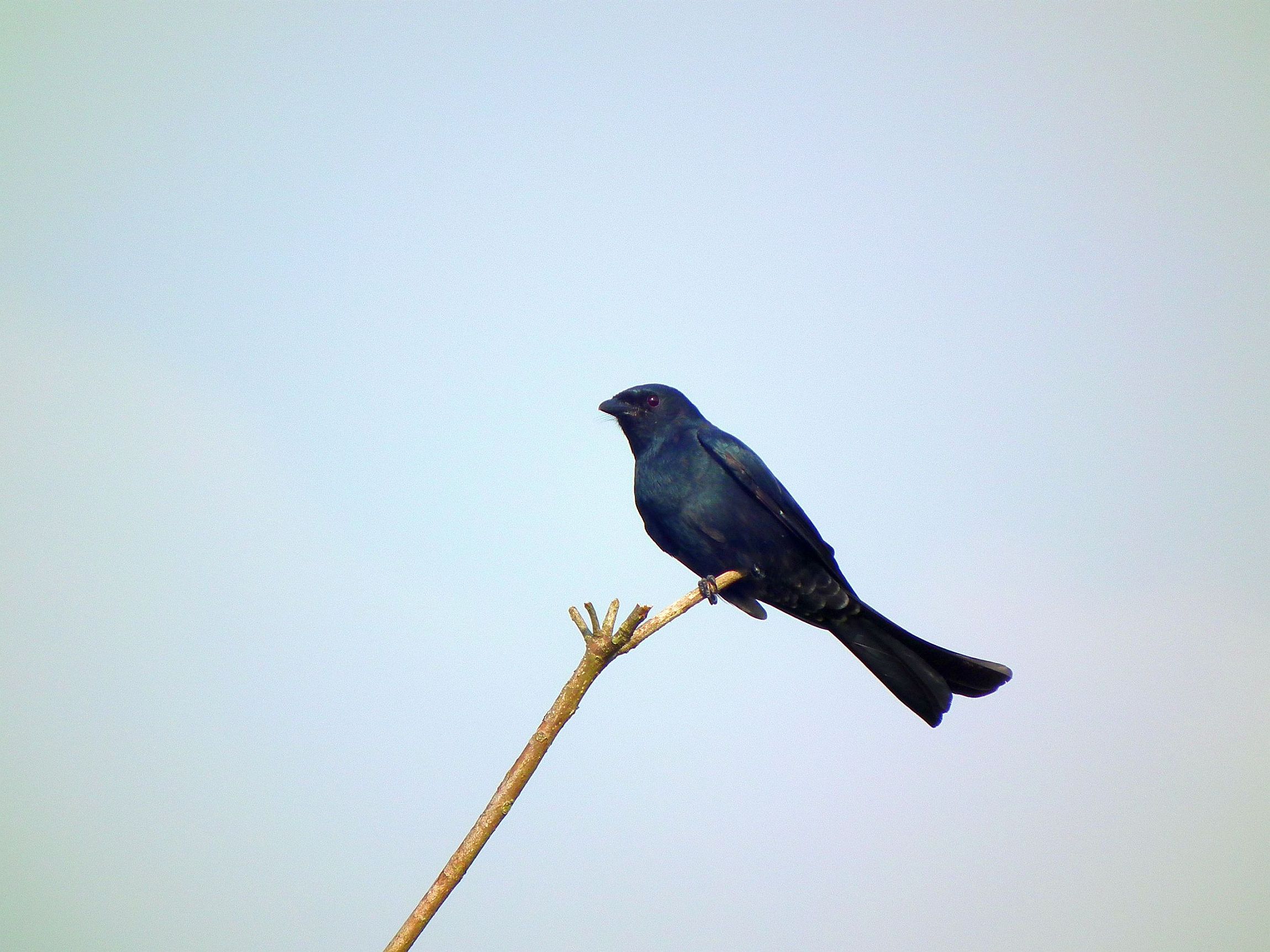 http://i.dcview.tw/gallery/201209/cc43c02d65bc8633c53df2a067476d6a.jpg